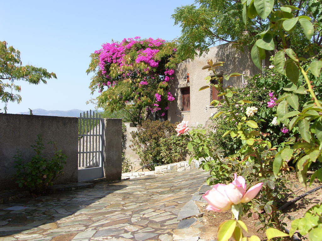 Cavo Grosso Bungalows Mavrovoúnion Kamer foto